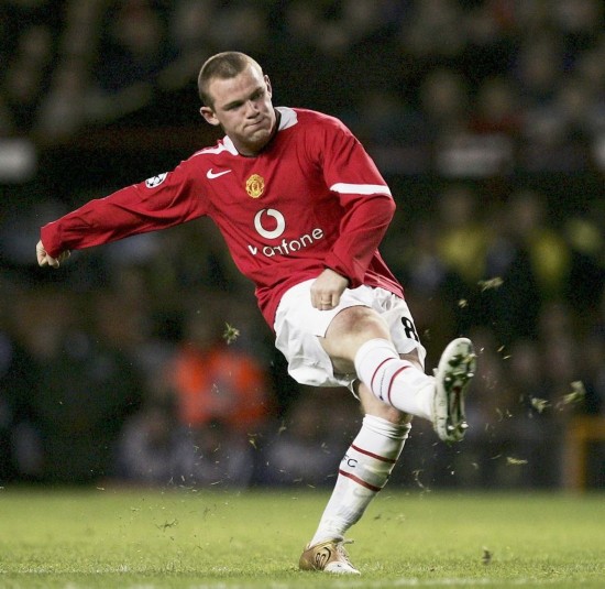 了极大的 了极大的